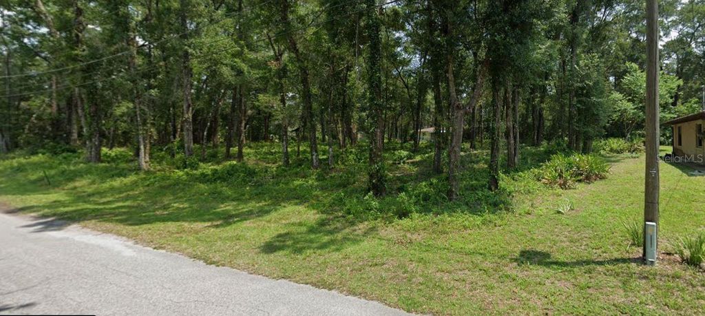 Photo of 6256 E Vale Street, Inverness, FL 34452 (MLS # TB8456929)