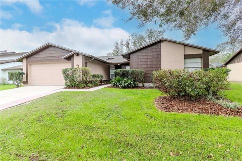 415 BLOOMINGFIELD DRIVE BRANDON FL 33511