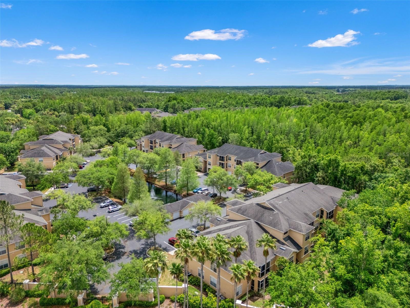 OXFORD PLACE AT TAMPA PALMS - Residential