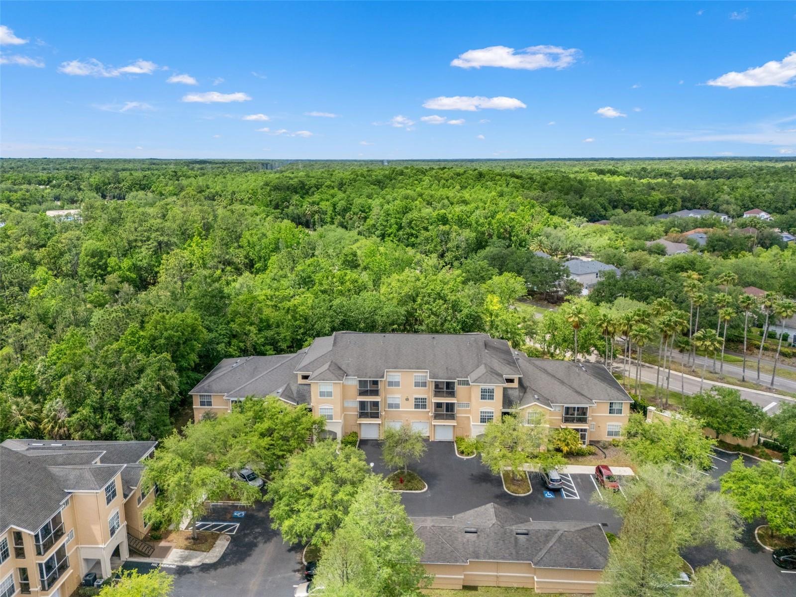 OXFORD PLACE AT TAMPA PALMS - Residential