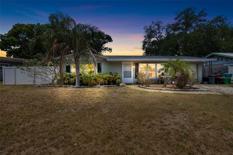 10827 VILLAGE GREEN AVENUE SEMINOLE FL 33772
