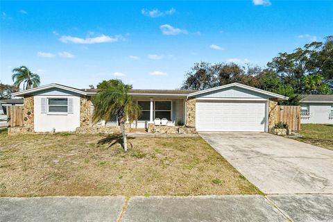 5541 ANDREA DRIVE HOLIDAY FL 34690