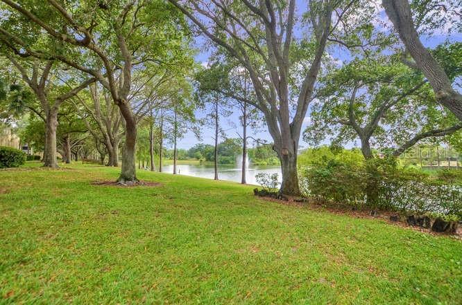 MEADOWLAKE PALM HARBOR CONDO - Residential Lease