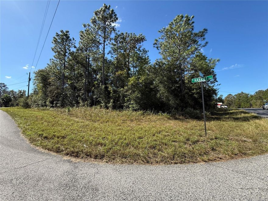 This is your opportunity to secure your piece of paradise in the up and coming neighborhood of Citrus Springs. This corner lot counts with .31 of an acre, on a paved road, with near by electricity and public water.  This location provides refreshing country living with rapid access to Withlacoochee Trail, Rainbow river, Crystal River (National Refuge to Fl Manatees) and many other Florida trailheads with endless adventures to pick all-year-round. At only 20-25 minutes from Ocala, Hernando, Dunnellon, you will have numerous options for dining, shopping and fun. Drive by and discover all the beauty surrounding this place. Survey available at closing. Deed restricted community, only single family homes.