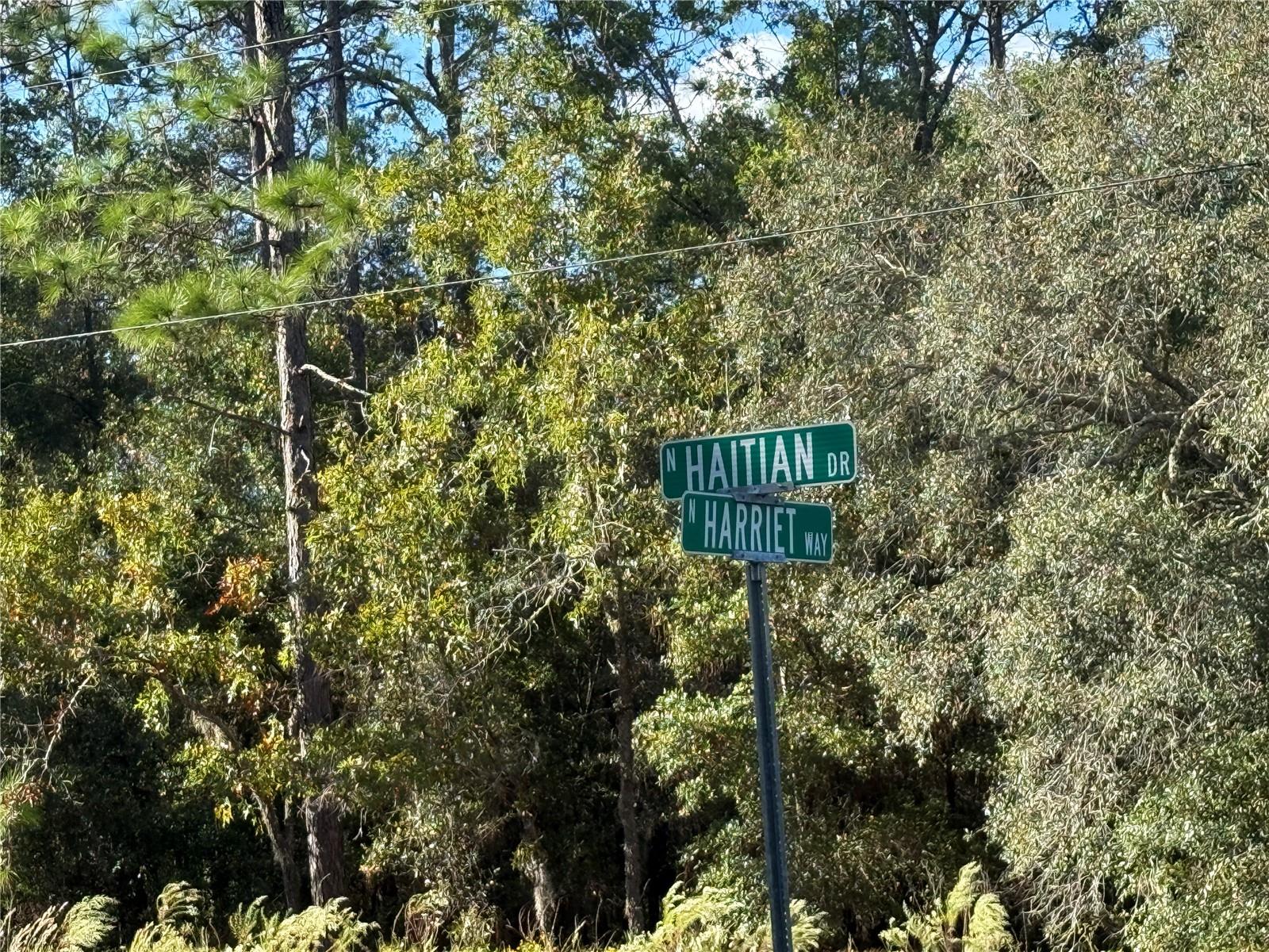 11073 N HAITIAN DRIVE