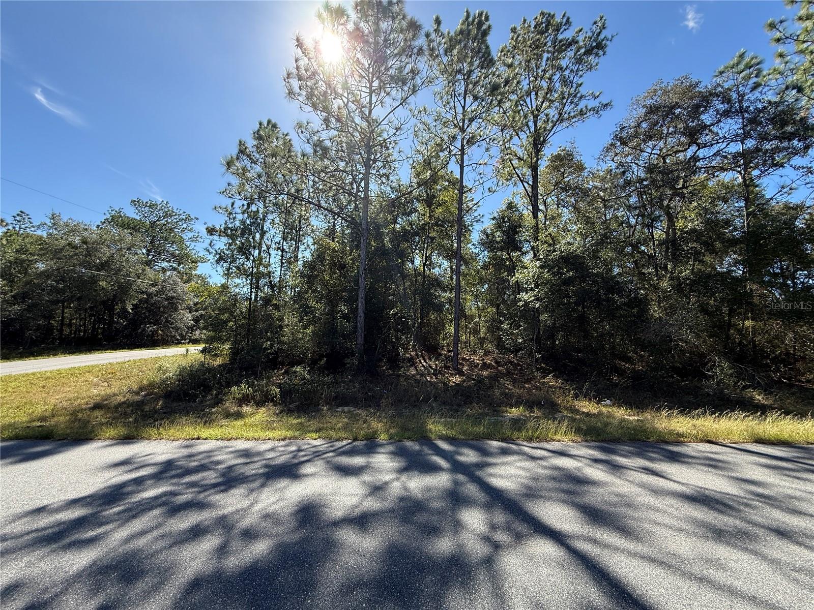 CITRUS SPGS UNIT 27 - Land