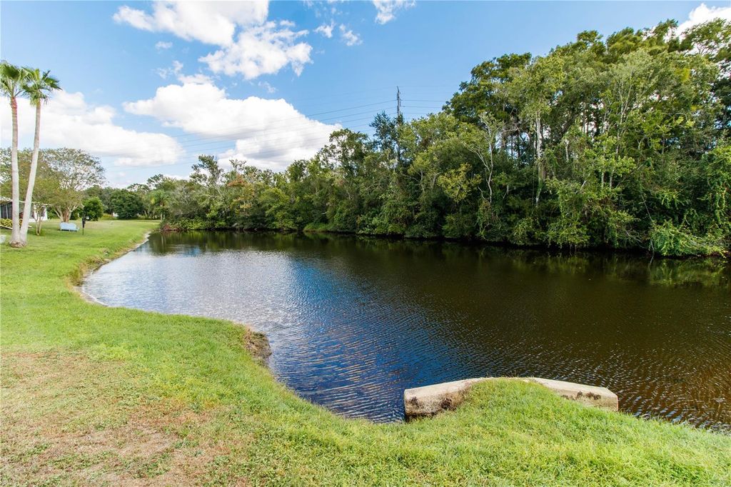 Photo of 4222 Northampton Drive, New Port Richey, FL 34653 (MLS # TB8439041)
