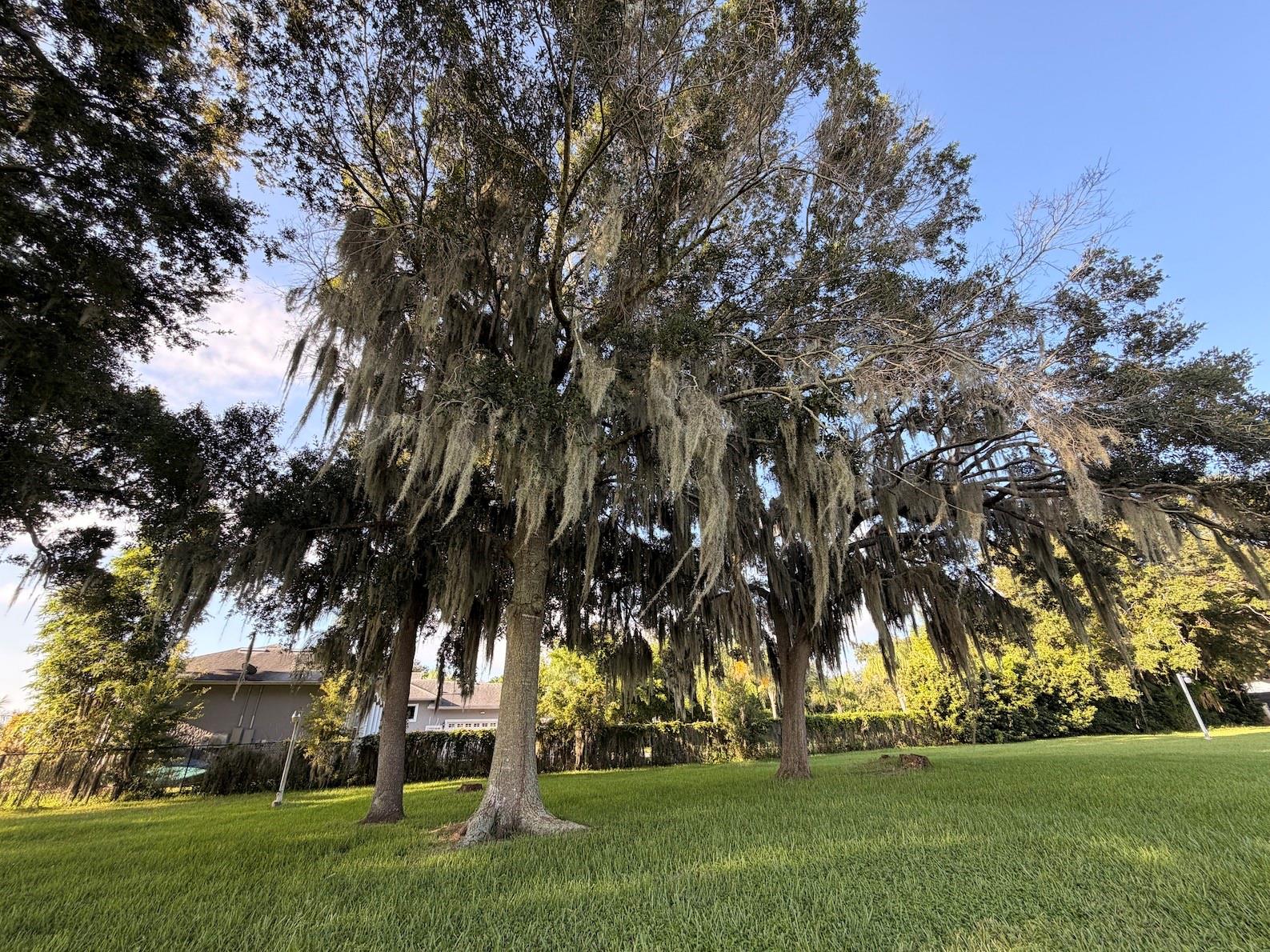 223 S ORTMAN DRIVE