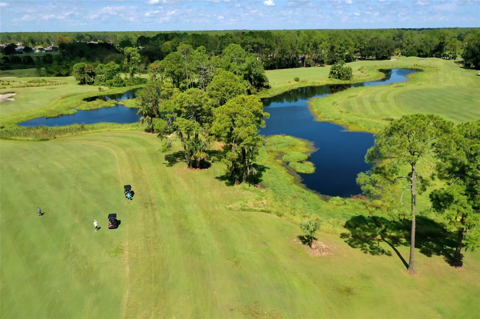 DEERWOOD REP BLK 20 PINE LAKES GOLF COURSE - Residential