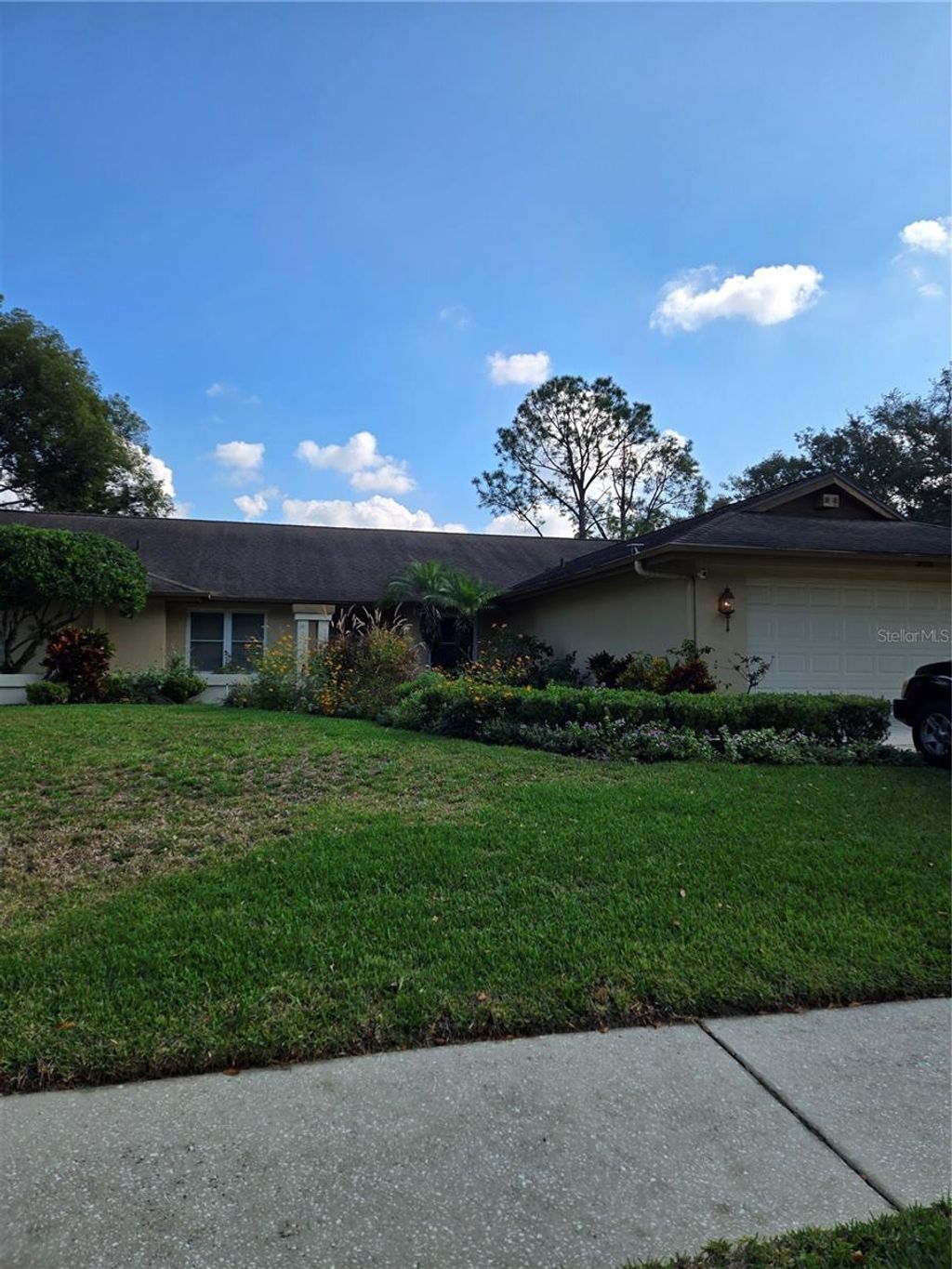 Photo of 305 Running Horse Road, Seffner, FL 33584 (MLS # TB8449747)