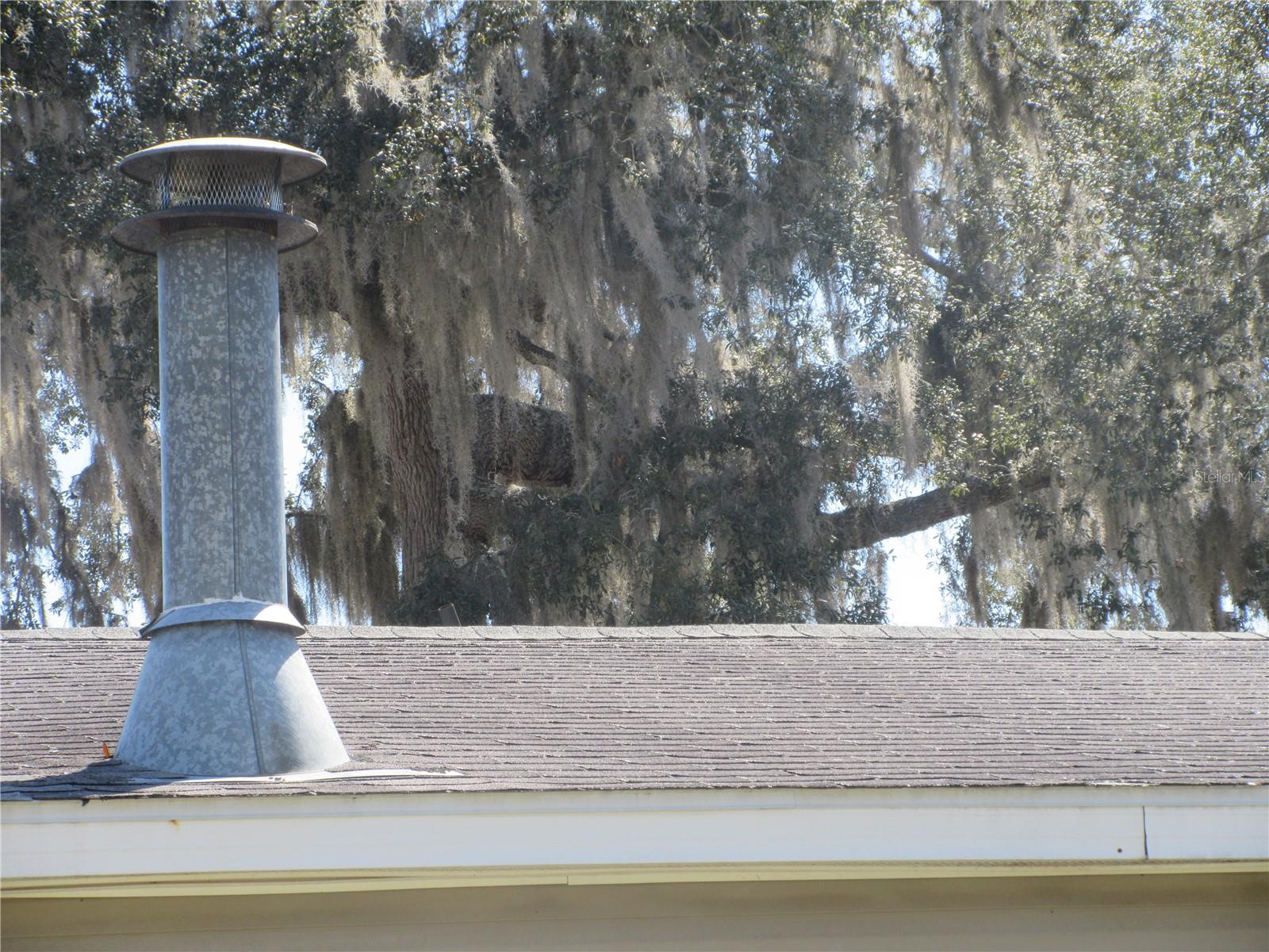 EAST MARION ESTATE - Residential