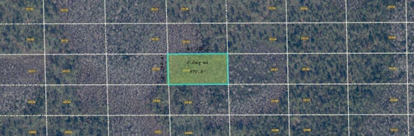 DILL RD, ORLANDO, FL 32820 - Image 3fbced816bf1f59ef2f09385e68dffe9/651183632