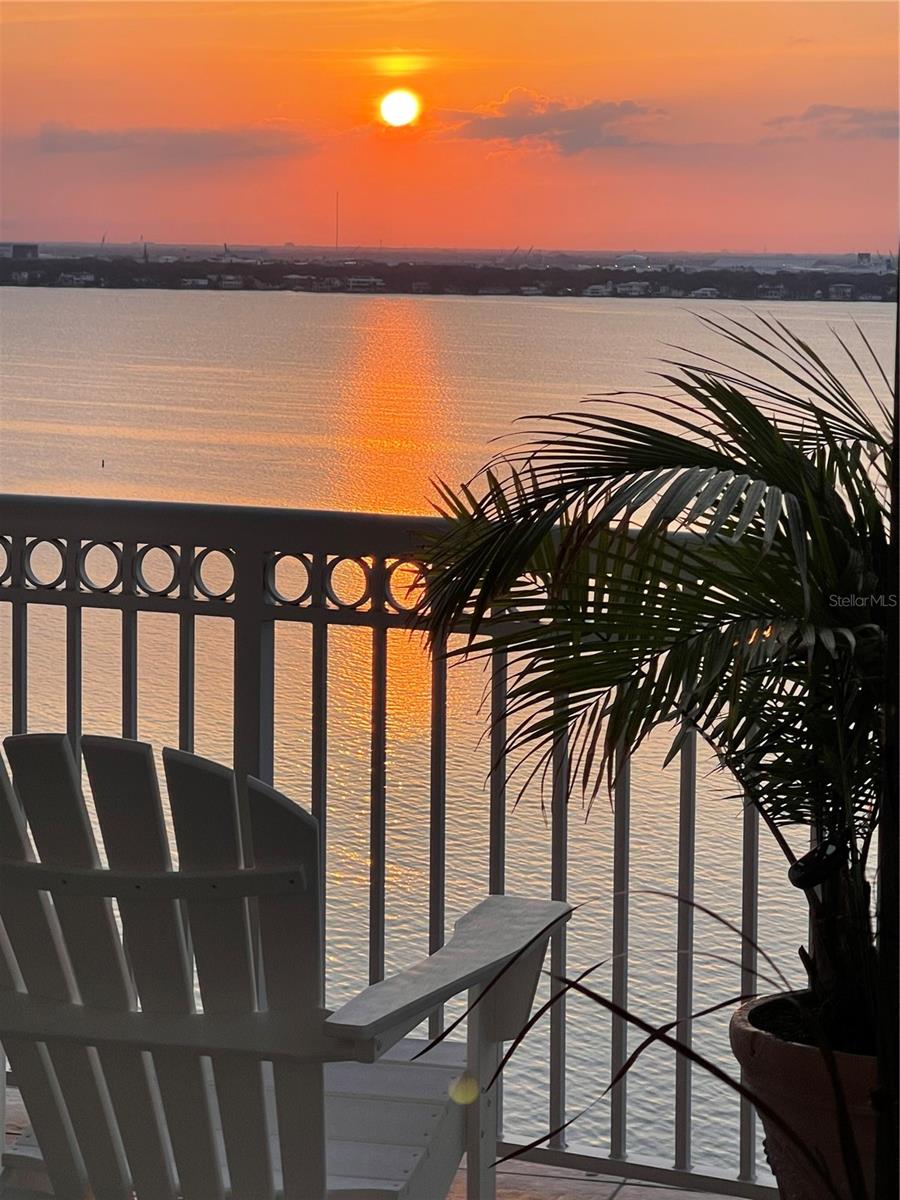 THE ALAGON ON BAYSHORE A CONDO - Residential