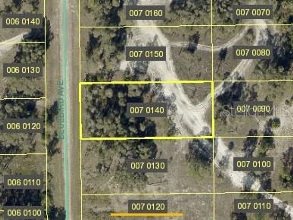 Photo of 725 Bluebird Avenue, Lehigh Acres, FL 33974 (MLS # TB8434789)