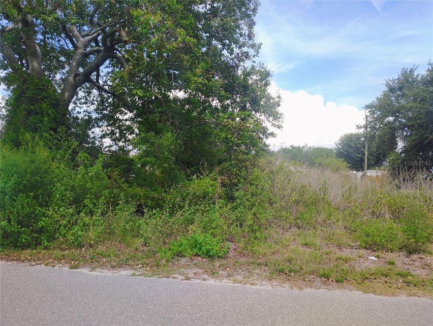 Build your Florida dream in growing Punta Gorda! This vacant residential lot located in Goose Creek Estates on 9284 Mandy Street offers a great opportunity for investors, builders, or future homeowners looking to secure property in a developing area of Charlotte County. Conveniently located near shopping, dining, golf courses, boating, fishing, and beautiful Gulf beaches, this property provides easy access to I-75, downtown Punta Gorda,CHARLOTTE HARBOR and nearby Port Charlotte. Enjoy the Florida lifestyle with plenty of room to create your custom home while still being close to schools, parks, and everyday conveniences. No HOA fees and plenty of potential in this expanding Southwest Florida community. Don’t miss your chance to own land in one of Florida’s fastest-growing areas! MULTIPLE LOTS AVAILABLE!