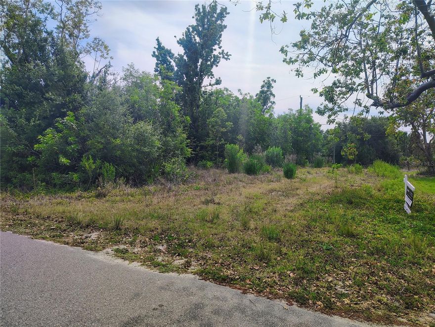 Build your Florida dream in growing Punta Gorda! This vacant residential lot located in Goose Creek Estates on 9284 Mandy Street offers a great opportunity for investors, builders, or future homeowners looking to secure property in a developing area of Charlotte County. Conveniently located near shopping, dining, golf courses, boating, fishing, and beautiful Gulf beaches, this property provides easy access to I-75, downtown Punta Gorda,CHARLOTTE HARBOR and nearby Port Charlotte. Enjoy the Florida lifestyle with plenty of room to create your custom home while still being close to schools, parks, and everyday conveniences. No HOA fees and plenty of potential in this expanding Southwest Florida community. Don’t miss your chance to own land in one of Florida’s fastest-growing areas! MULTIPLE LOTS AVAILABLE!