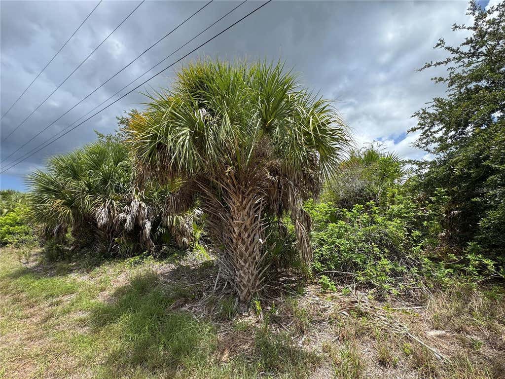 Photo of 13224 Kitchener Avenue, Port Charlotte, FL 33981 (MLS # TB8532106)