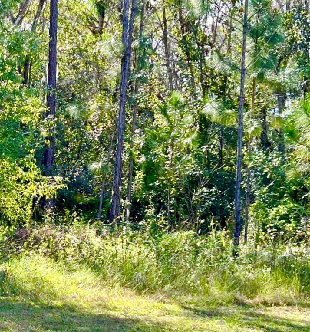 Photo of 1011 Indian Lake Drive, Indian Lake Estates, FL 33855 (MLS # TB8363160)