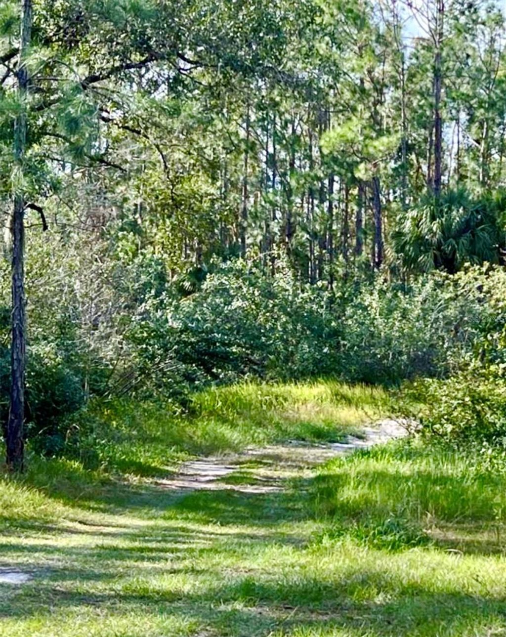 Photo of 1011 Indian Lake Drive, Indian Lake Estates, FL 33855 (MLS # TB8363160)