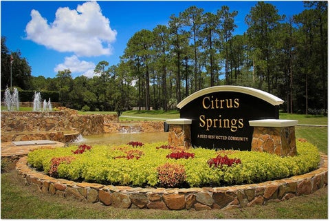 Tiny photo for 8445 N Janeaux Drive, Citrus Springs, FL 34434 (MLS # O6452233)