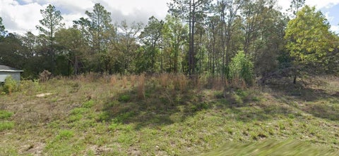 Photo of 8445 N Janeaux Drive, Citrus Springs, FL 34434 (MLS # O6452233)