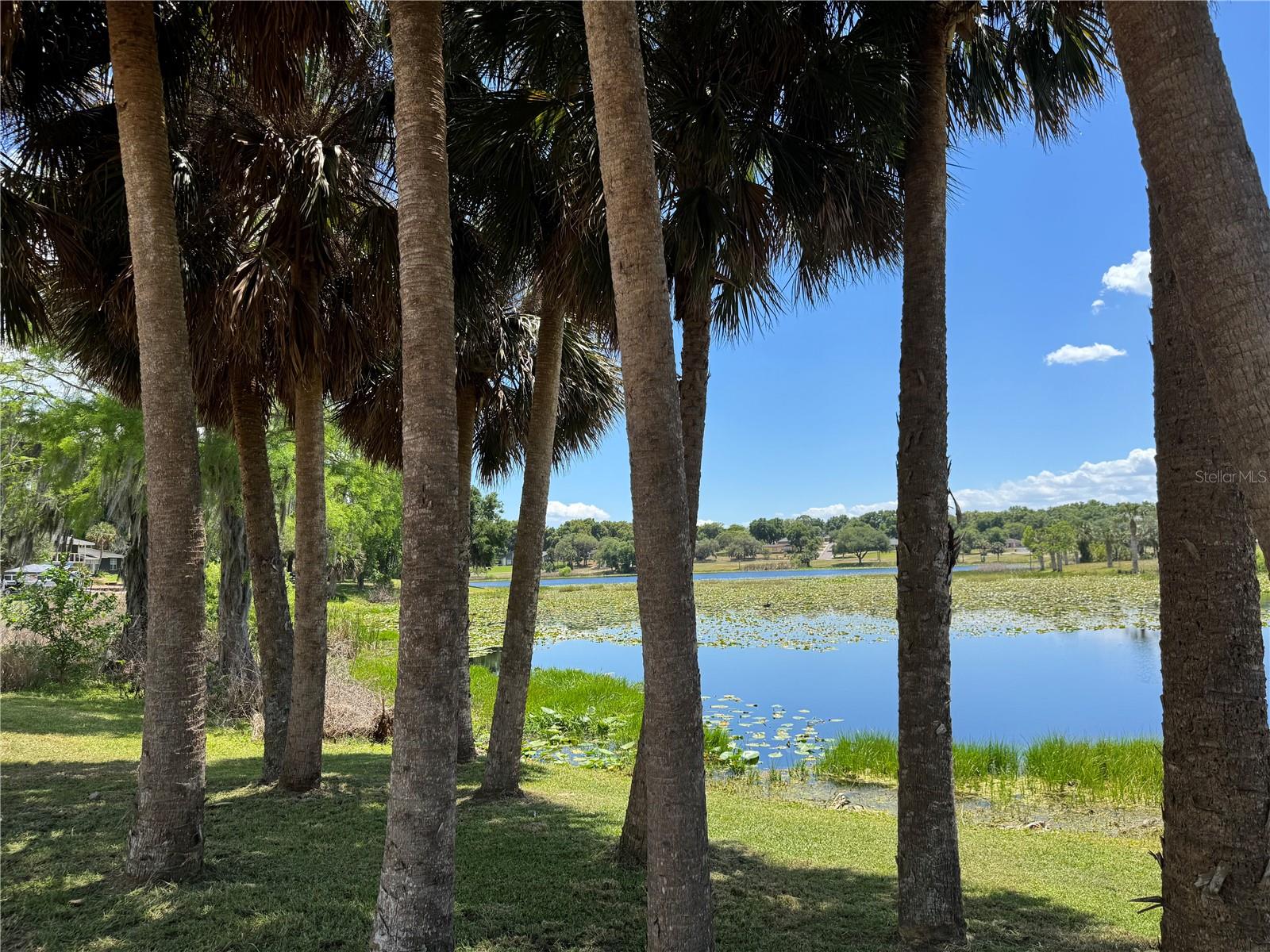 PRESCOTTS ADD/EUSTIS - Residential