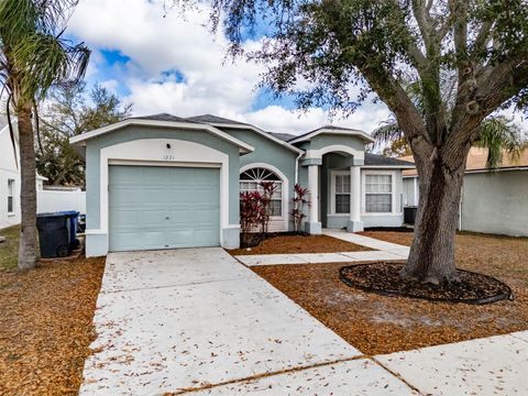 1221 FRANFORD DRIVE BRANDON FL 33511