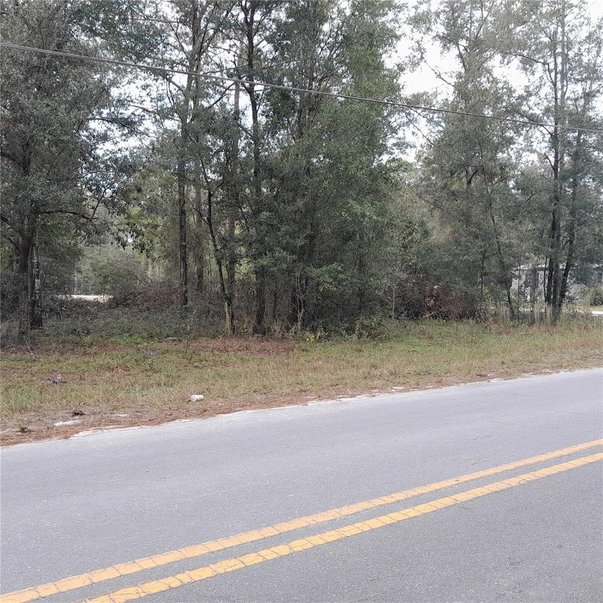 BRONSON HEIGHTS .27 ACRE CORNER LOT ON A PAVED ROAD. Beautiful oak trees, just off Hwy 27Alt on a paved road and corner lot! Site built or mobile home is acceptable. Close to Bronson and Williston for schools, food shopping, salons, restaurants, Devils Den, horse events etc. Only 35 minutes to Gainesville or Ocala, Hits and WEC. Very convenient. Survey is already done and available to you!