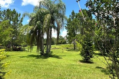 Tiny photo for 13910 Max Hooks Road, Clermont, FL 34711 (MLS # G5083955)