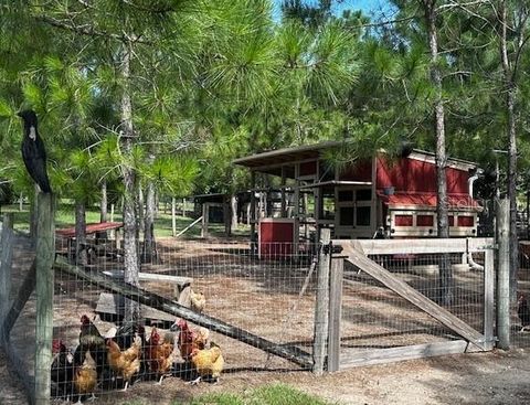 Tiny photo for 13910 Max Hooks Road, Clermont, FL 34711 (MLS # G5083955)