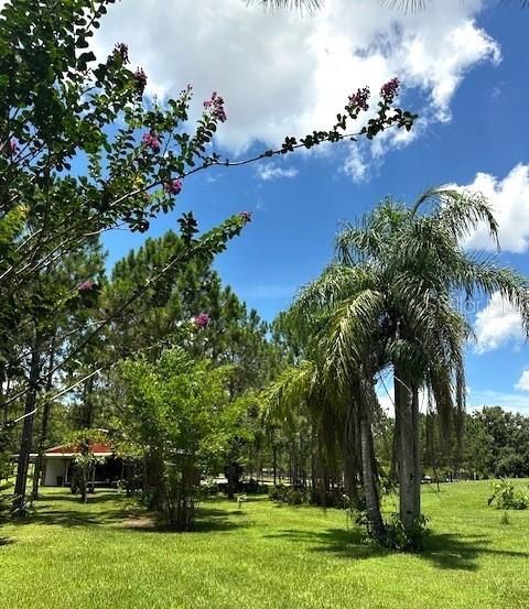 Tiny photo for 13910 Max Hooks Road, Clermont, FL 34711 (MLS # G5083955)