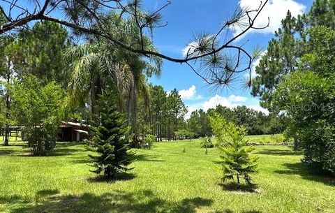 Tiny photo for 13910 Max Hooks Road, Clermont, FL 34711 (MLS # G5083955)