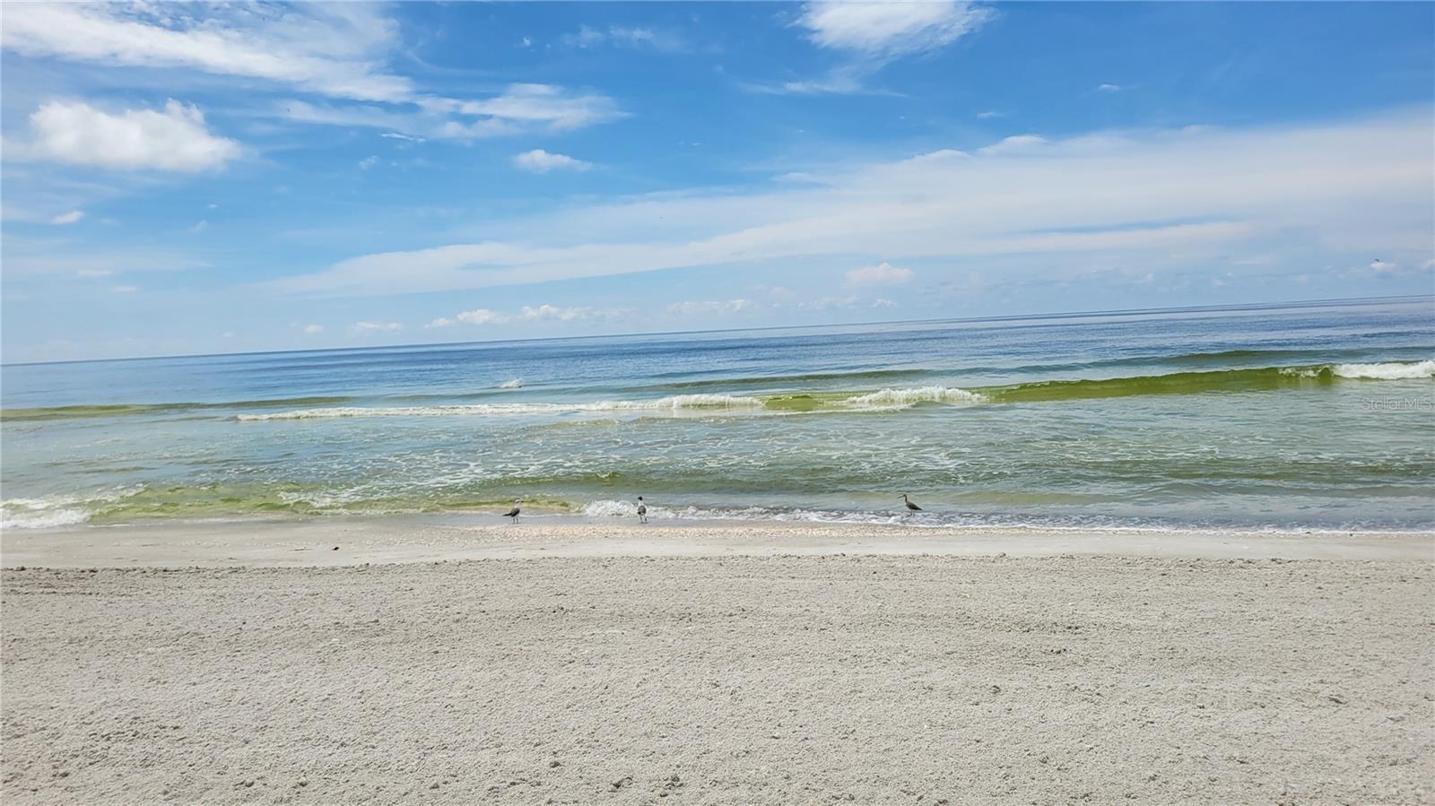 PRIVATEER SOUTH - Residential Lease