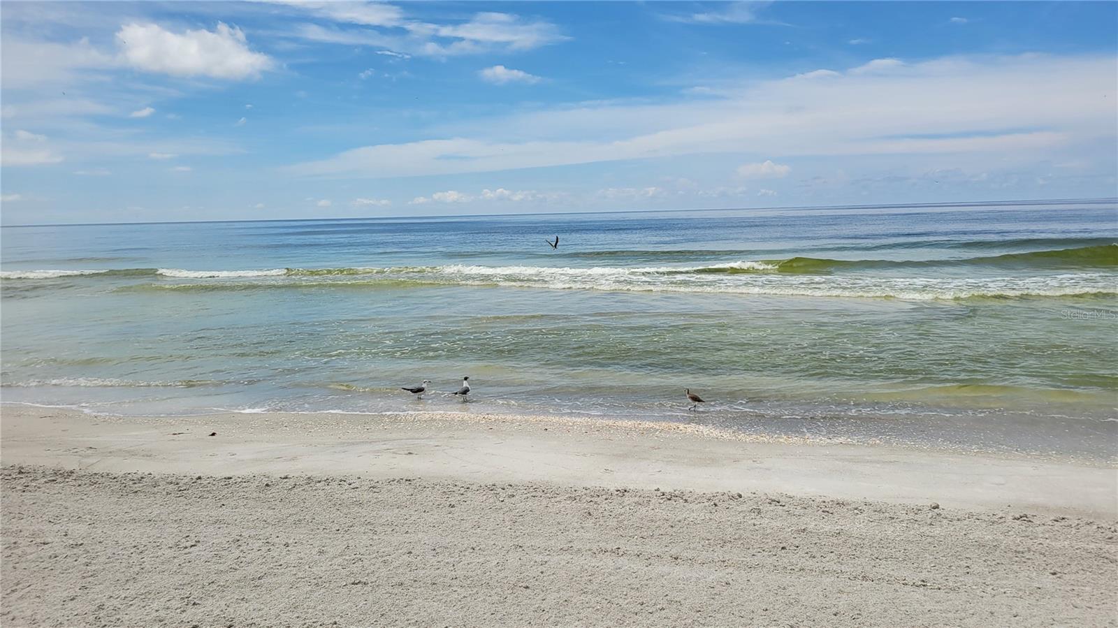 PRIVATEER SOUTH - Residential Lease