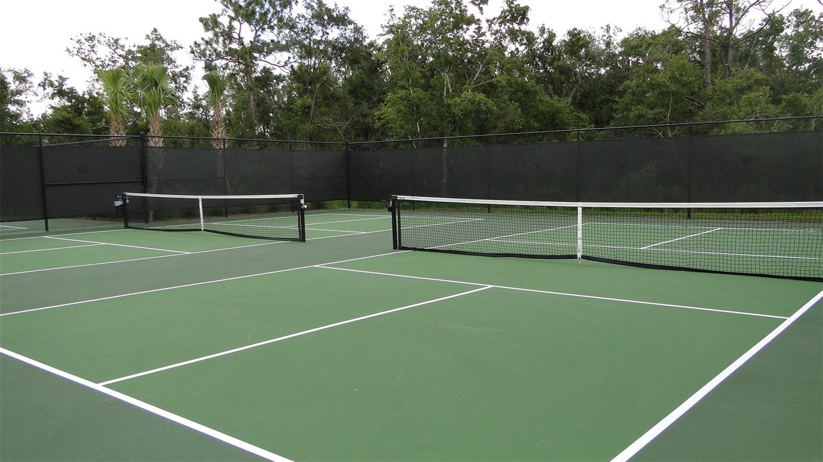 LAKEWOOD NATIONAL - Residential Lease