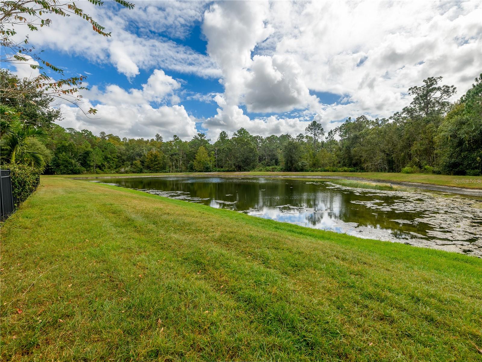 GRAND HAMPTON - Residential