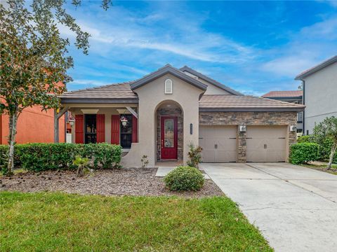 8249 DUNHAM STATION DRIVE TAMPA FL 33647