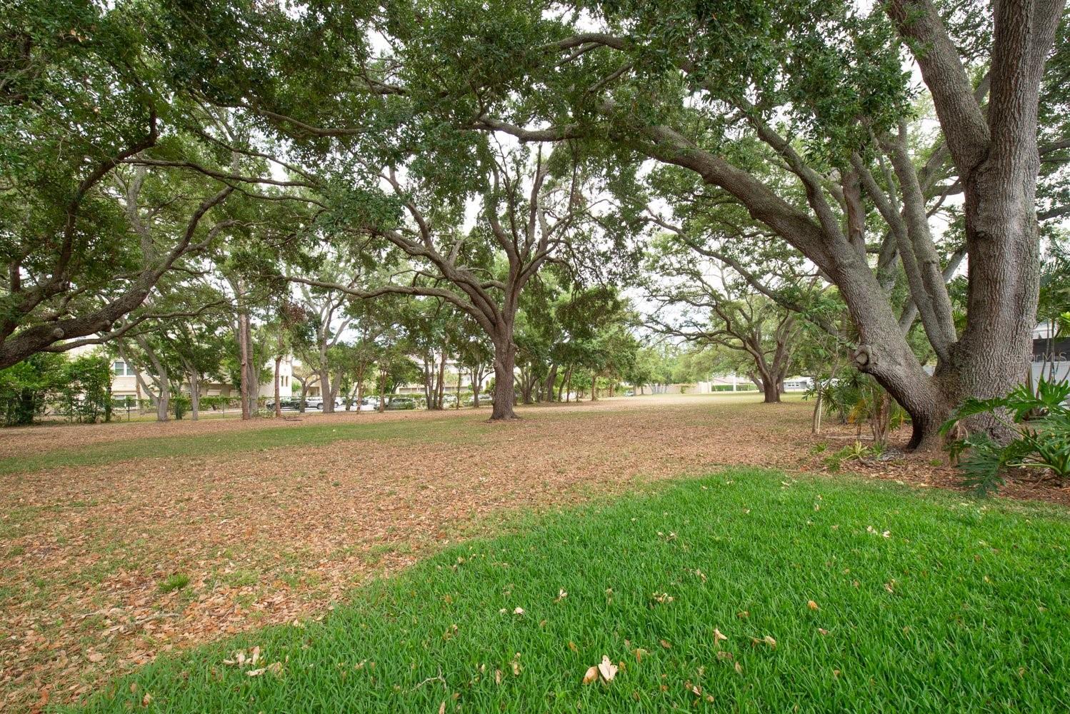 CEDAR HEIGHTS - Residential