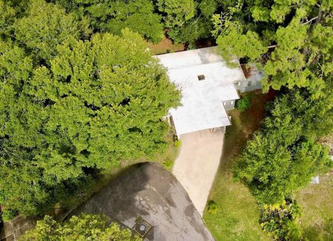 A home in MOUNT DORA