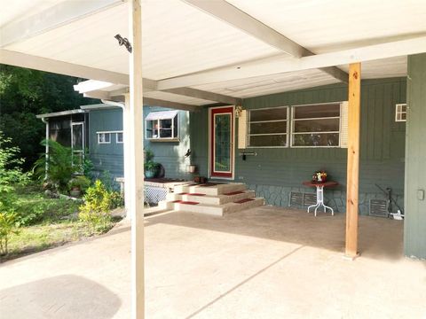 A home in MOUNT DORA