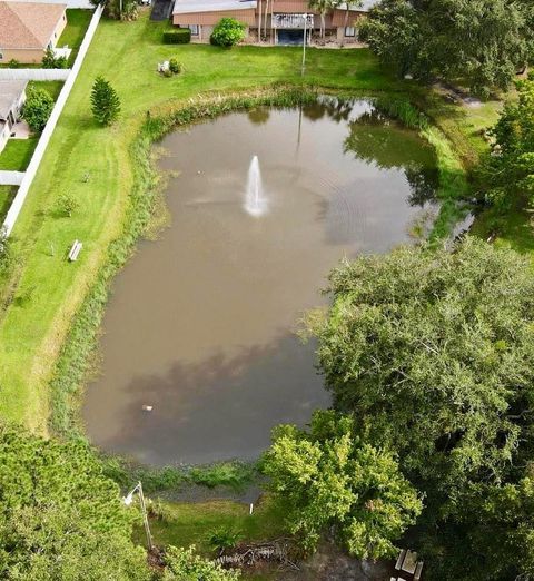 A home in MOUNT DORA