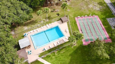 A home in MOUNT DORA