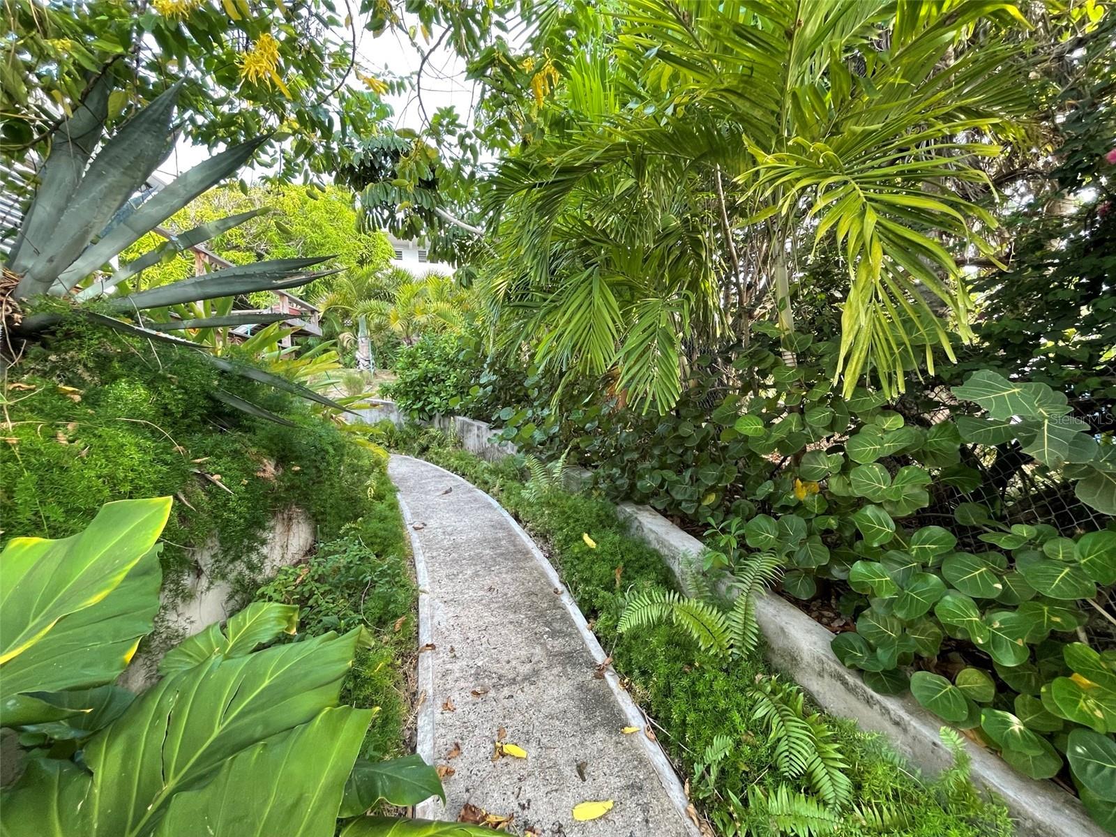 BRAVOS DE BOSTON - Residential