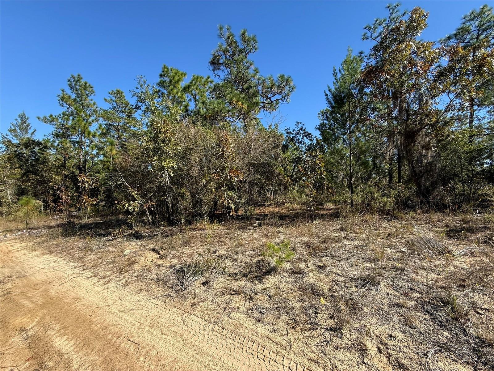 RAINBOW LAKE ESTATES - Land