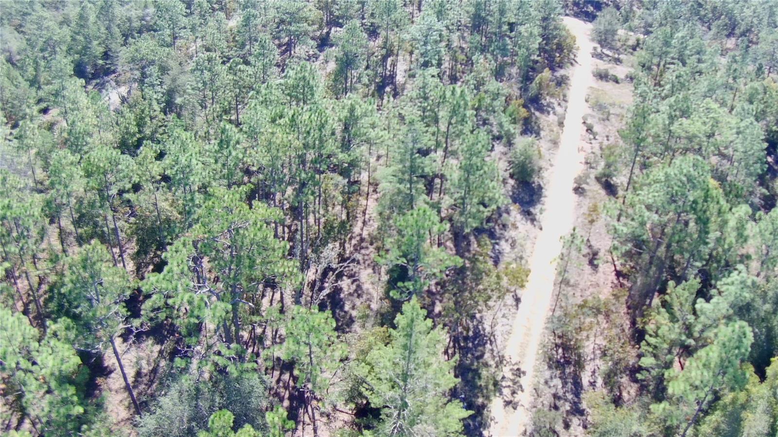 RAINBOW LAKE ESTATES - Land