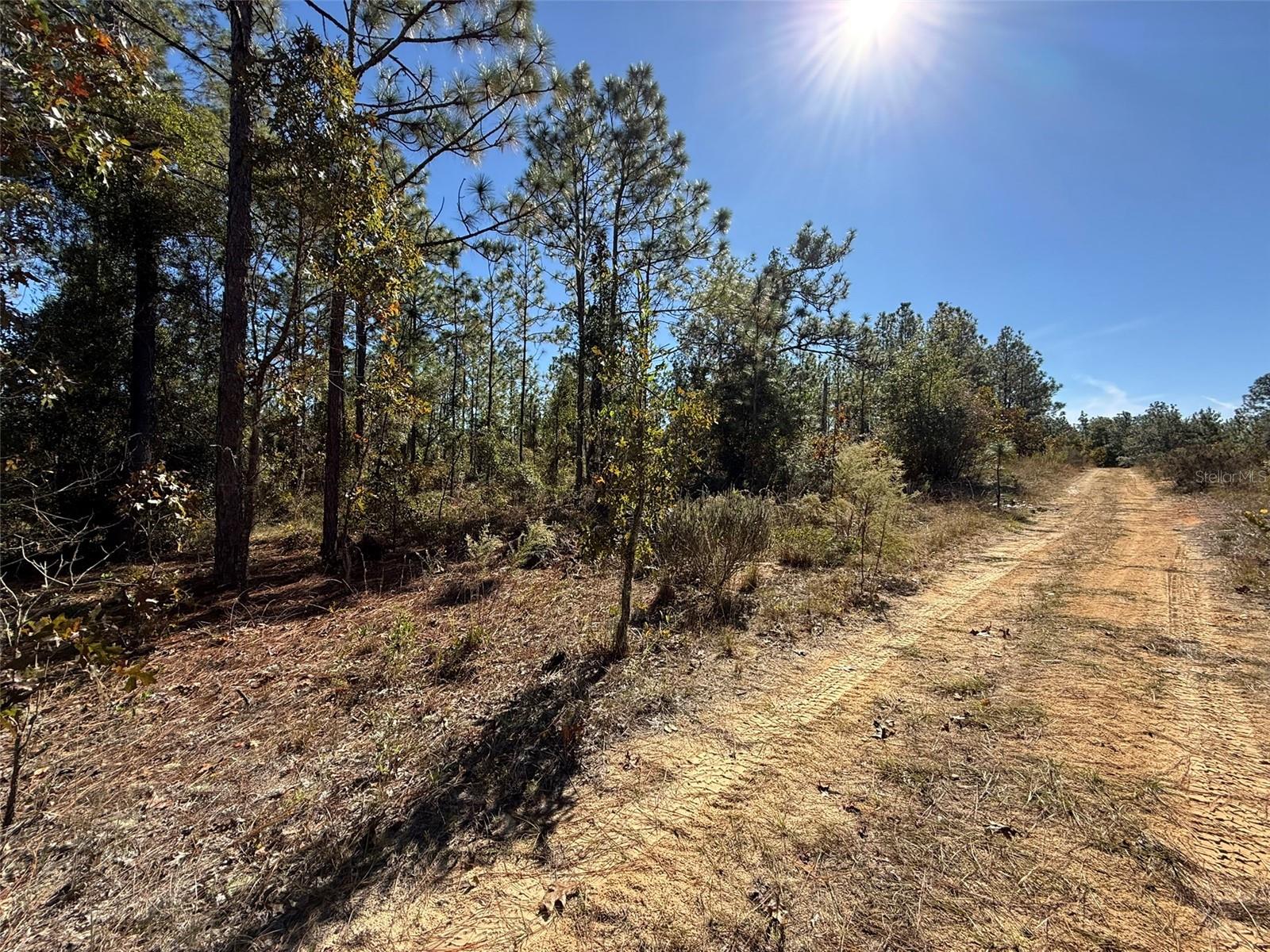 RAINBOW LAKE ESTATES - Land