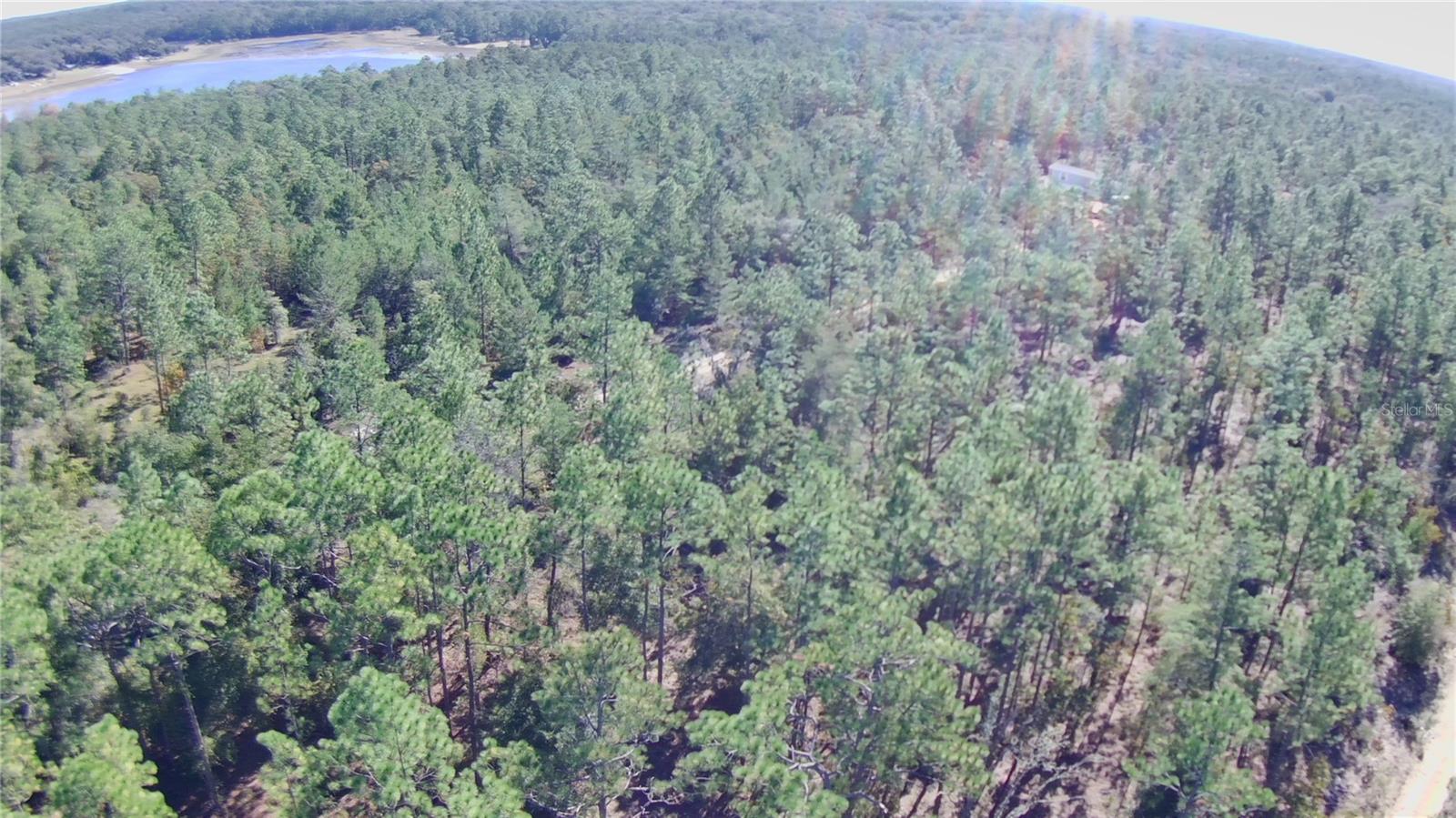 RAINBOW LAKE ESTATES - Land