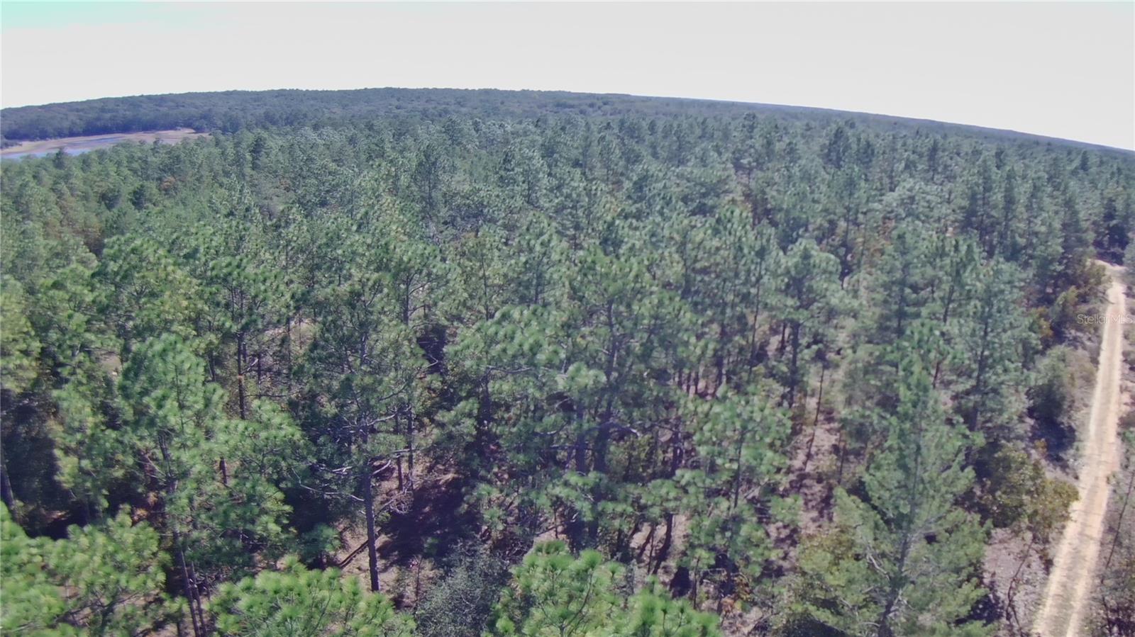 RAINBOW LAKE ESTATES - Land