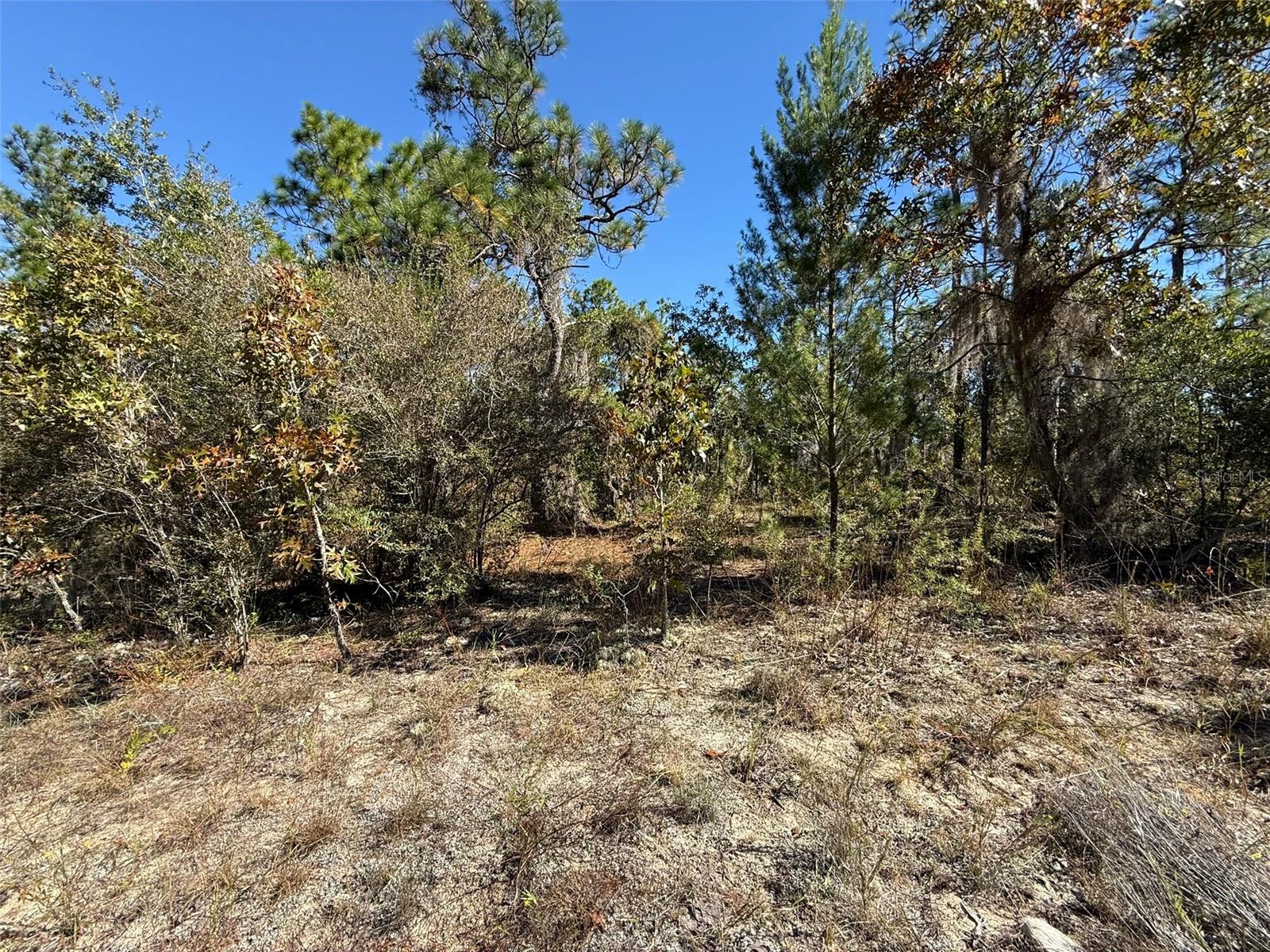 RAINBOW LAKE ESTATES - Land