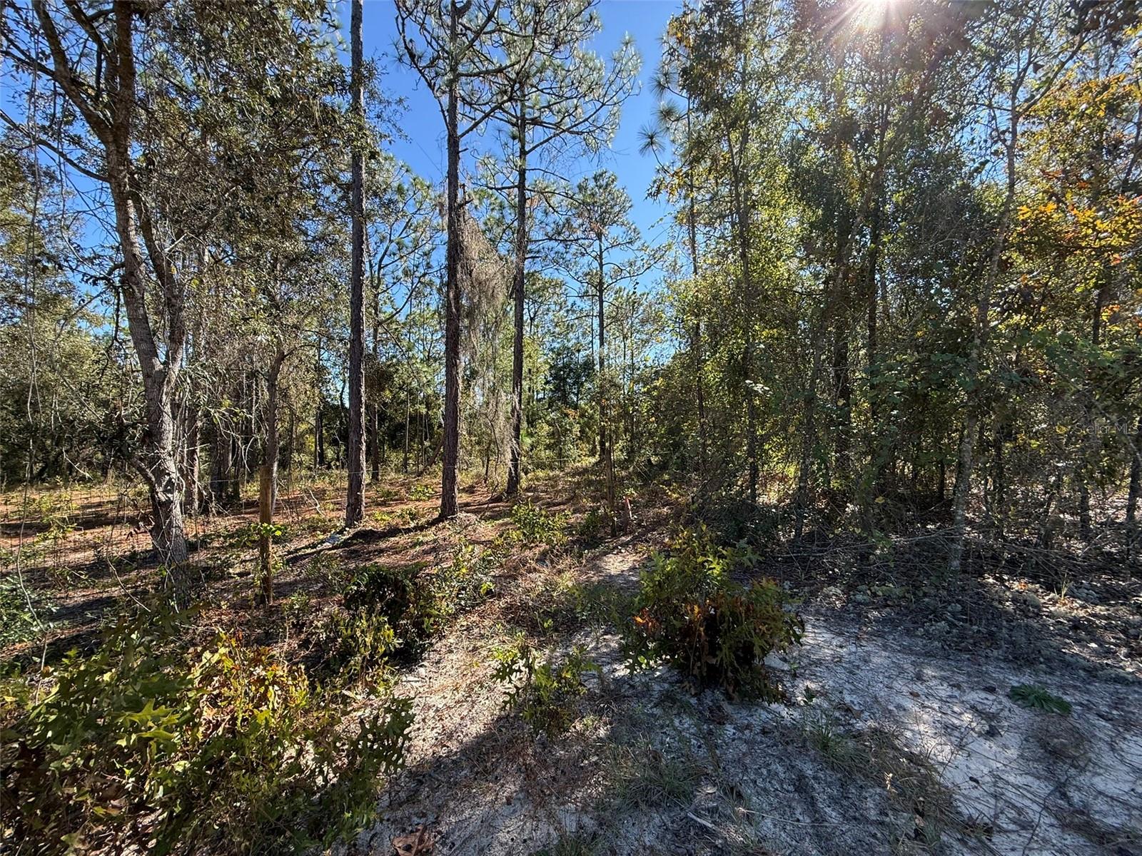 RAINBOW LAKE ESTATES - Land